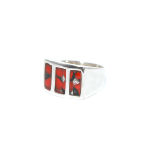 Anillo Encajonado w 1 1