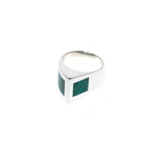 anillo encajonado 2
