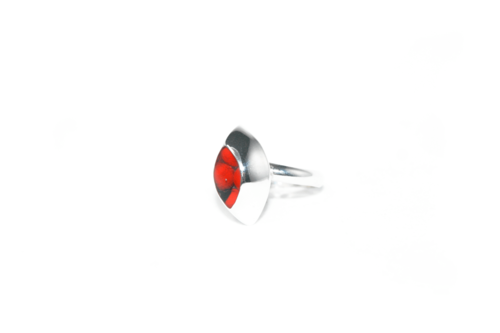 anillo encajonado 6 anillo encajonado 6