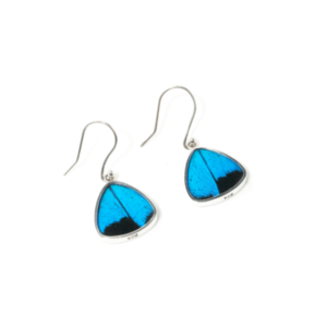 aretes mariposa