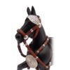 caballo peruano de paso 2 caballo peruano de paso 2
