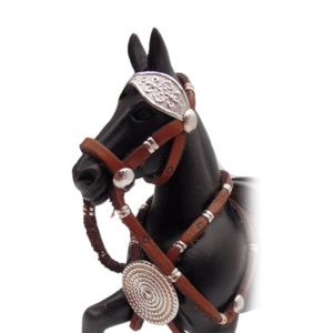 caballo peruano de paso 2