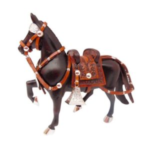 caballo peruano de paso 3