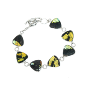 pulsera mariposa 4